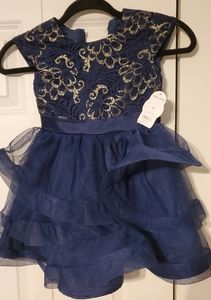 Girls Holiday dress